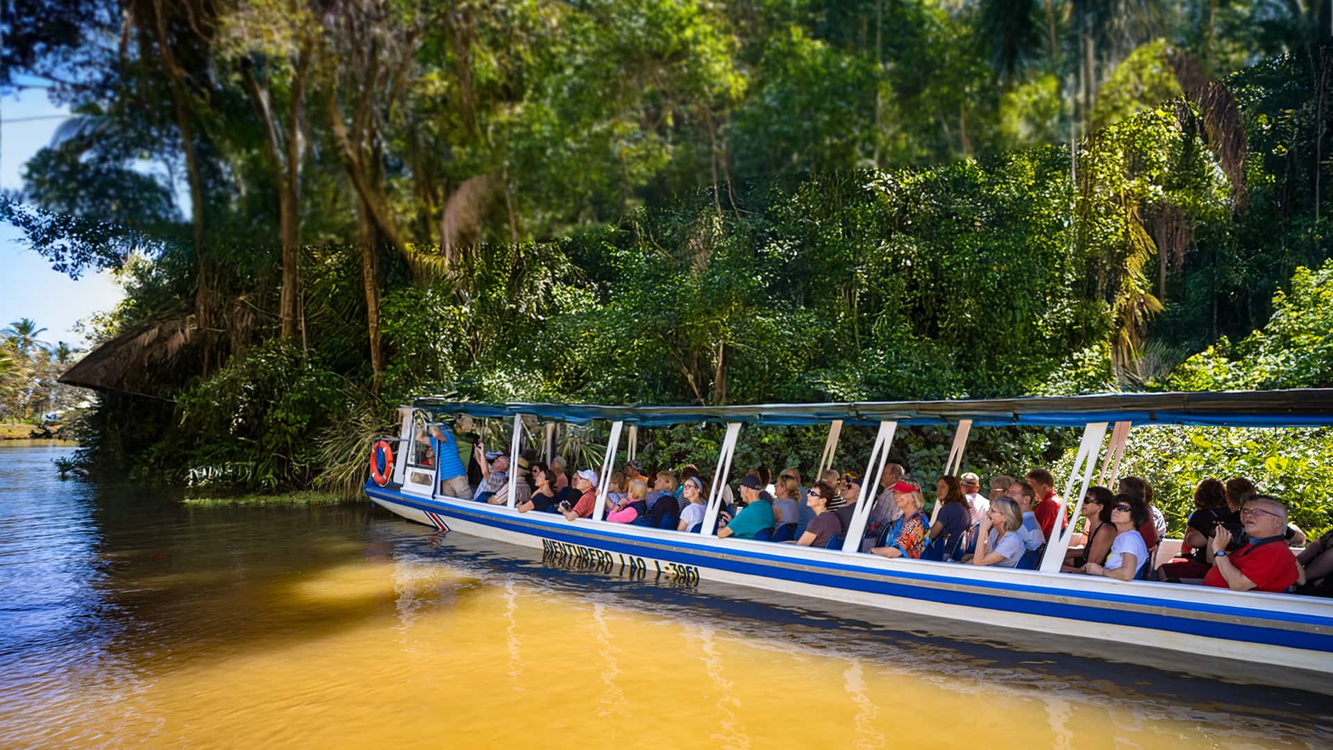 Rainforest Extravaganza